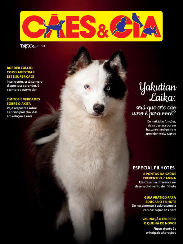 Cães e Cia