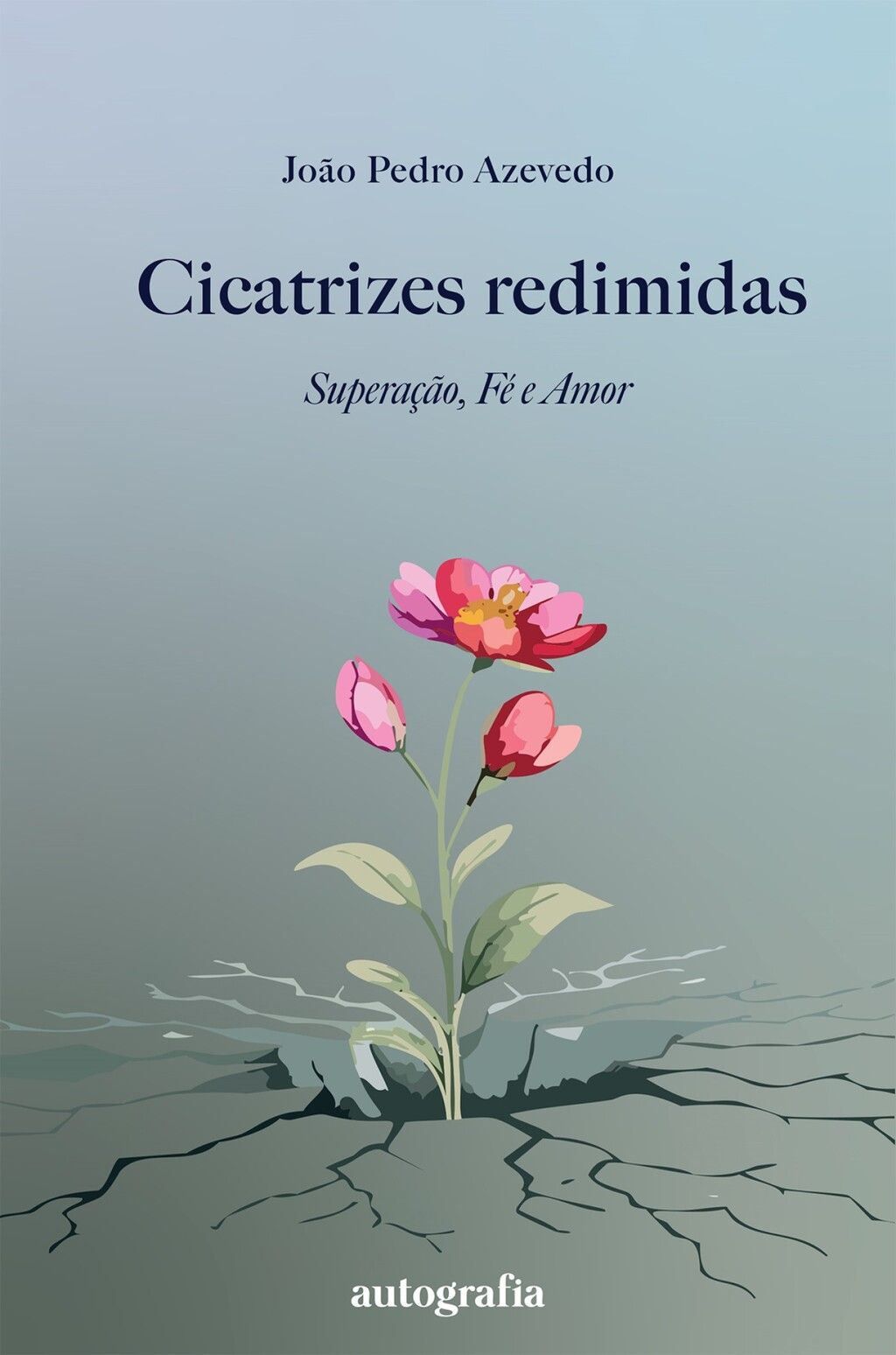 Cicatrizes redimidas