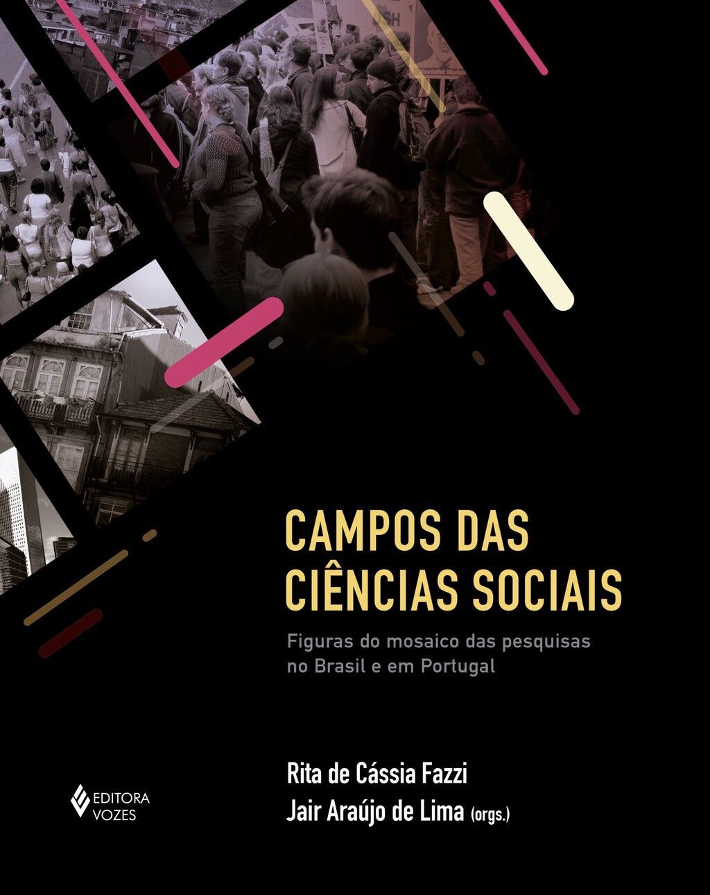 Campos das ciências sociais