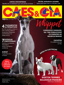 Cães e Cia