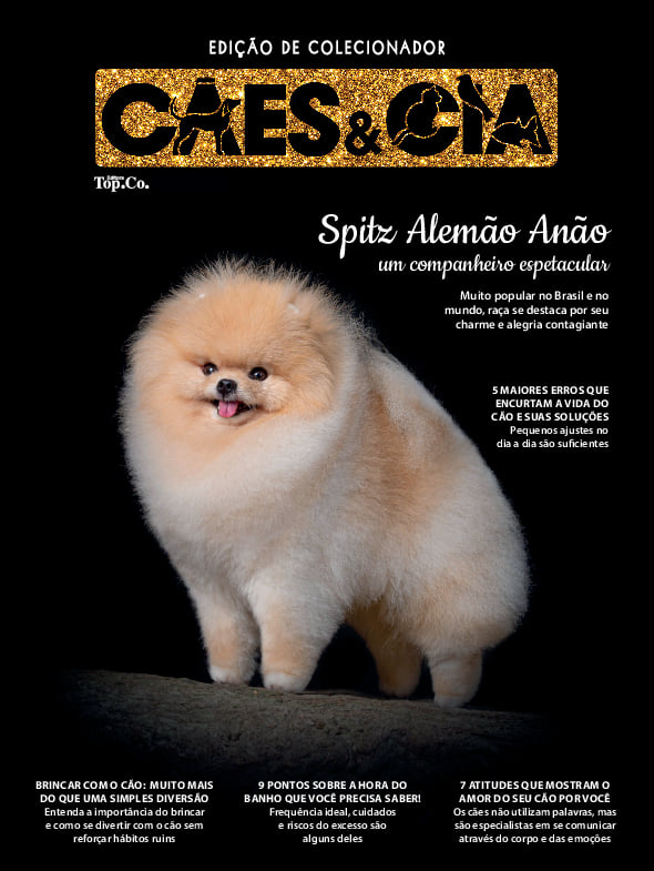 Cães e Cia