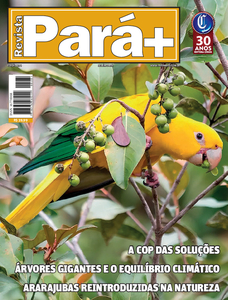Pará+