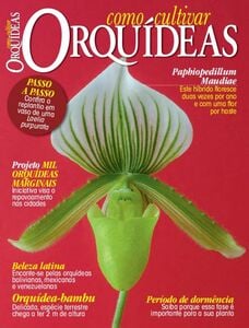 Como Cultivar Orquídeas