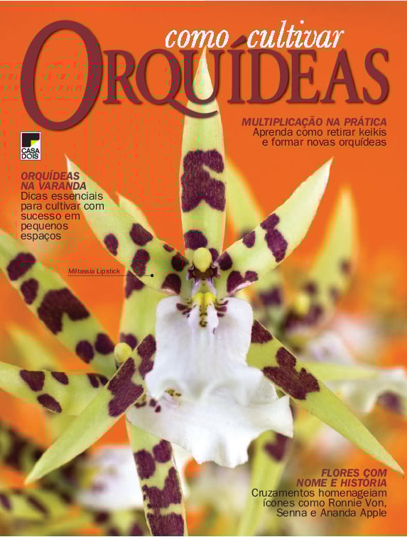 Como Cultivar Orquídeas
