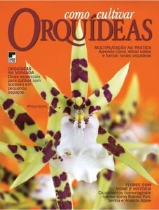 Como Cultivar Orquídeas Como Cultivar Orquídeas