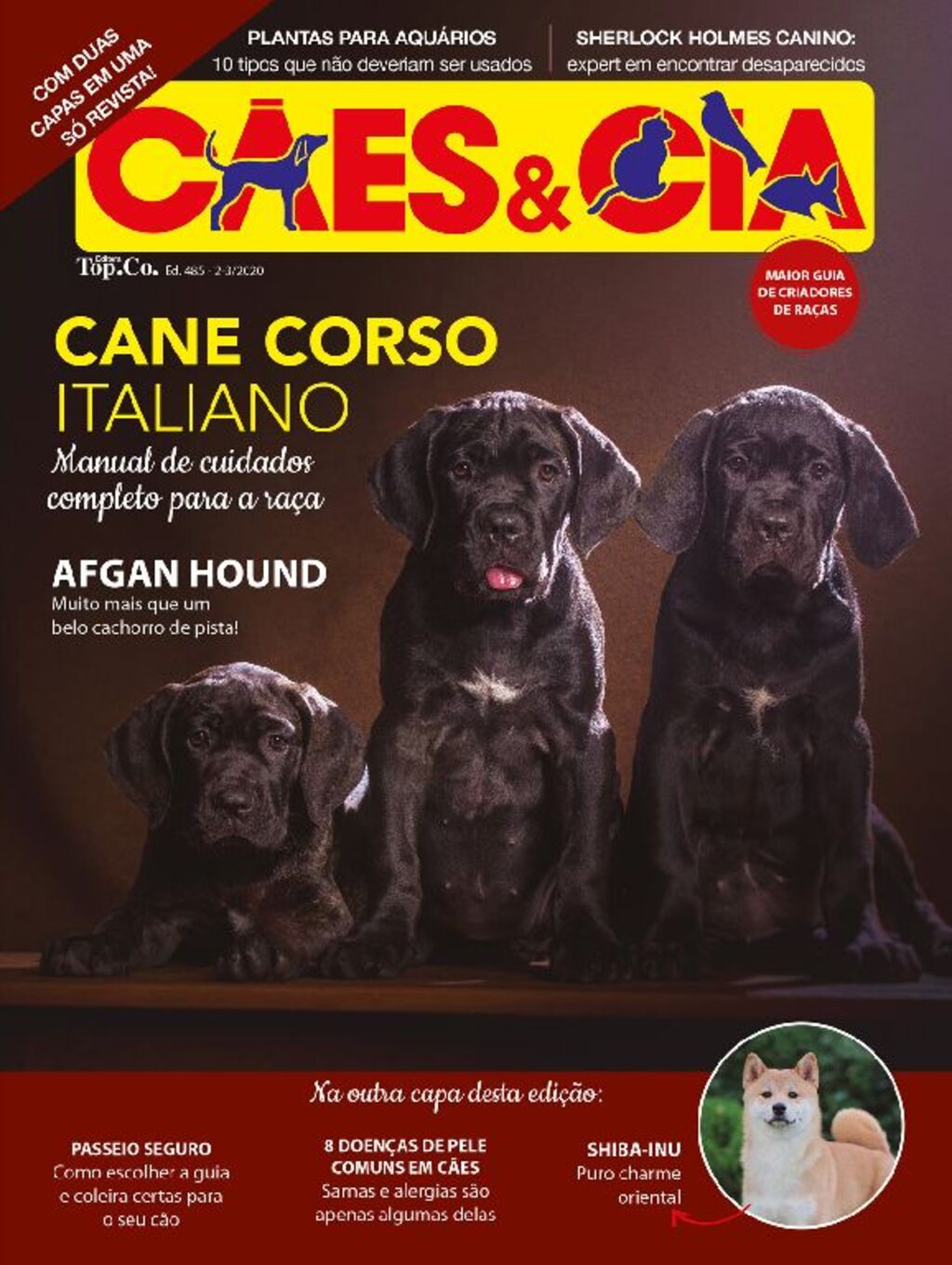 Cane Corso Italiano - Revista Cães & Cia