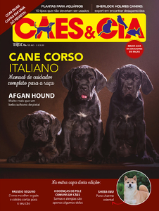 Cães e Cia