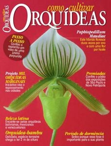 Como Cultivar Orquídeas