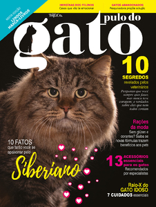 Pulo do Gato