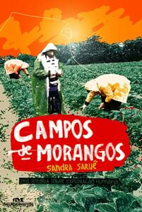 Campos De Morangos – Uma História Sobre Exploração Humana