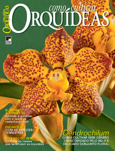 Como Cultivar Orquídeas