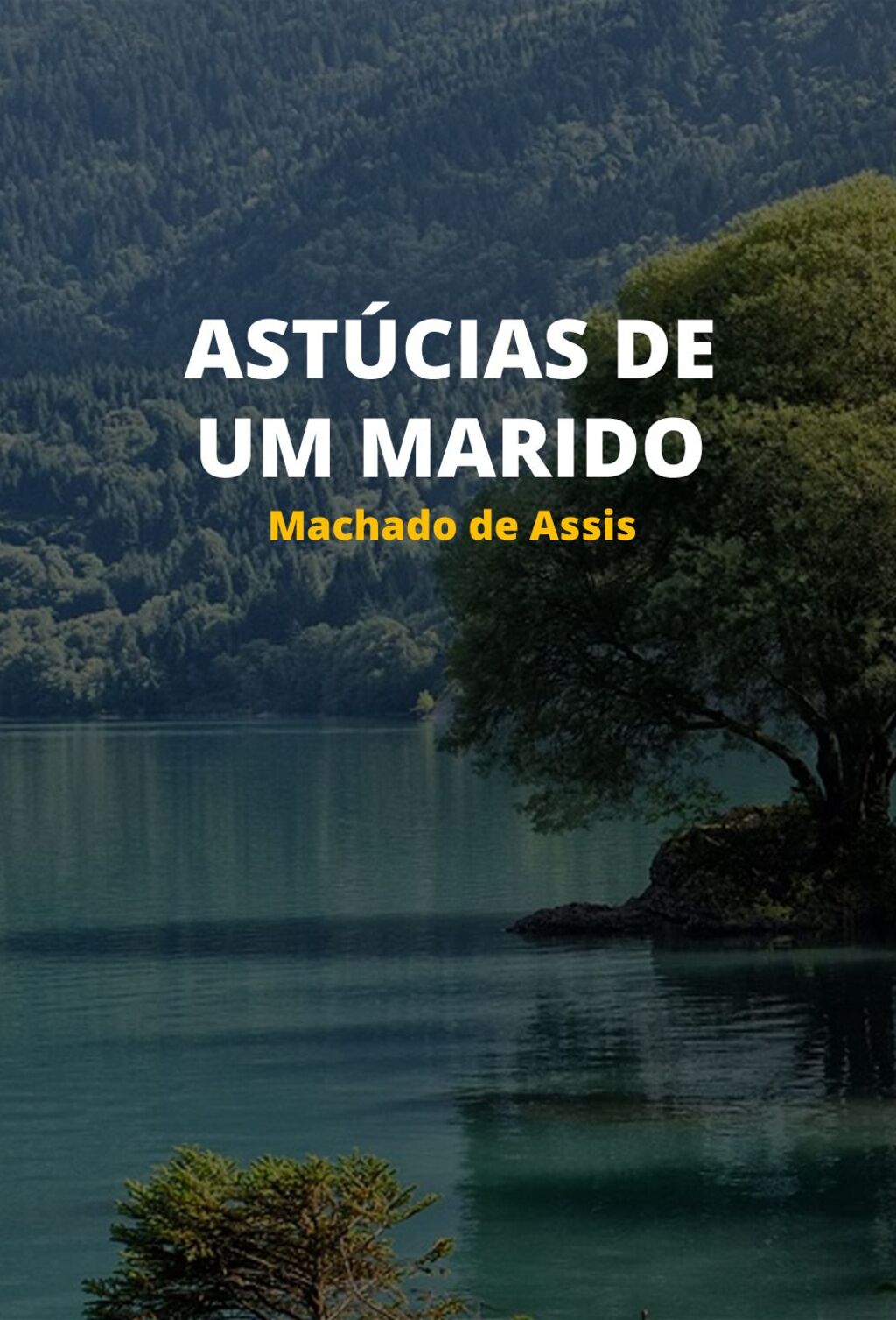 Astúcias de um marido