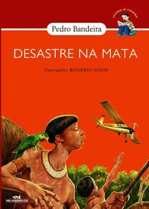 Desastre Na Mata