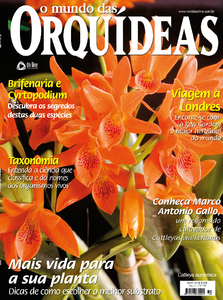 O Mundo das Orquídeas