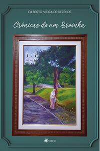 Crônicas de um Broinha