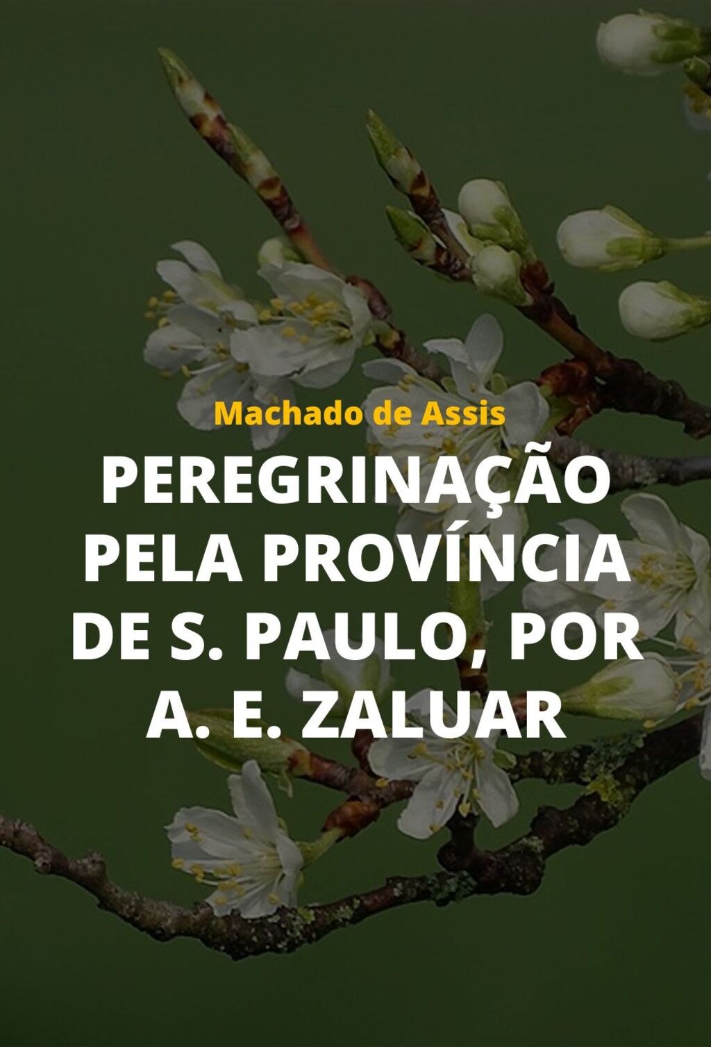 Peregrinação Pela Província de S. Paulo, por A. E. Zaluar