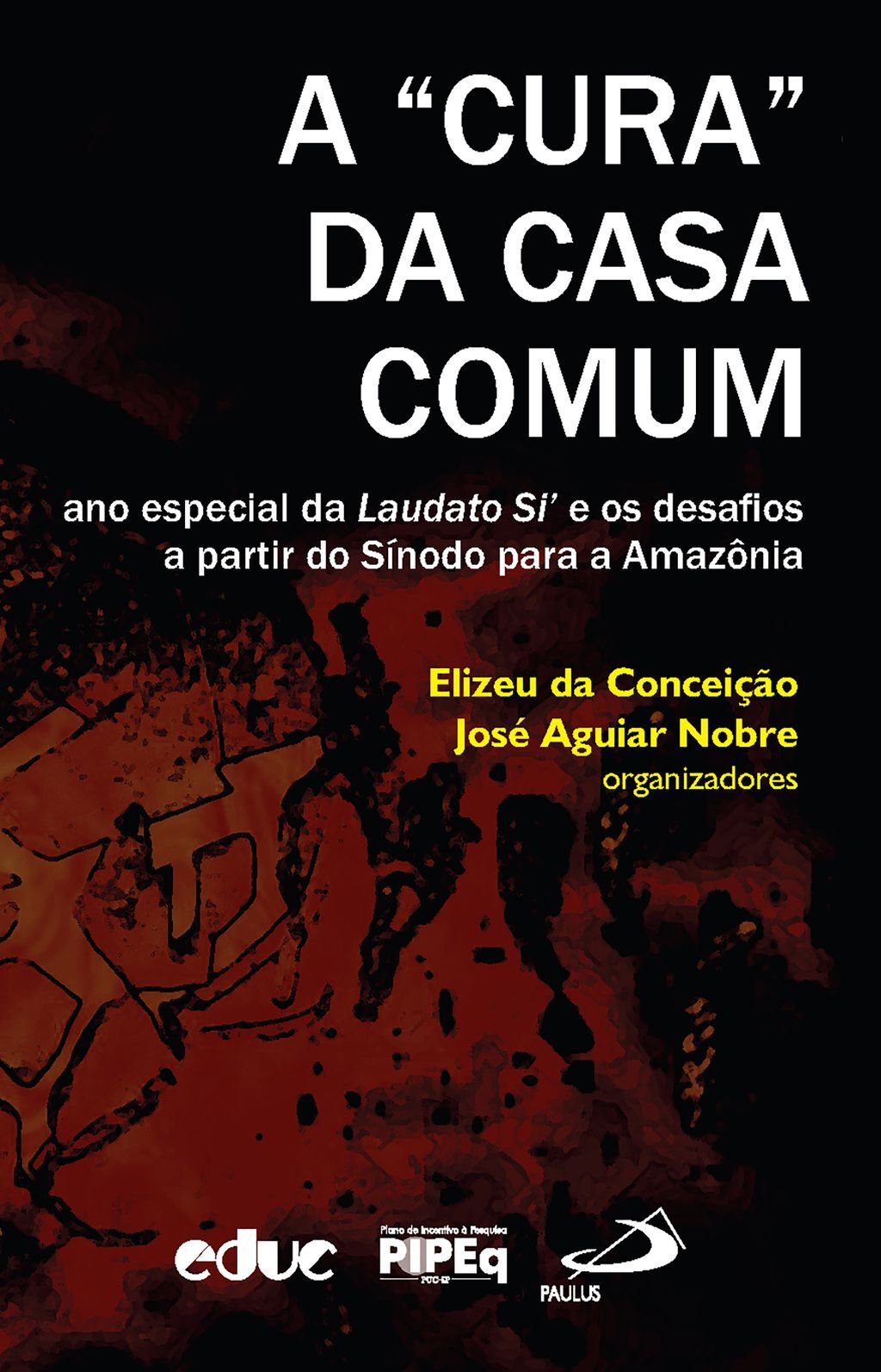 A "cura" da Casa Comum