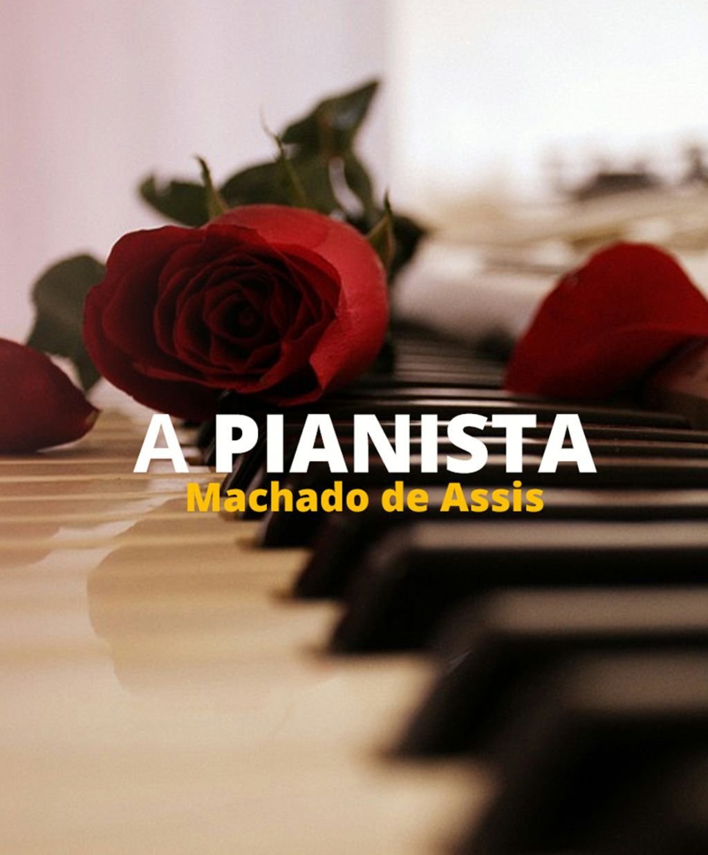 A pianista