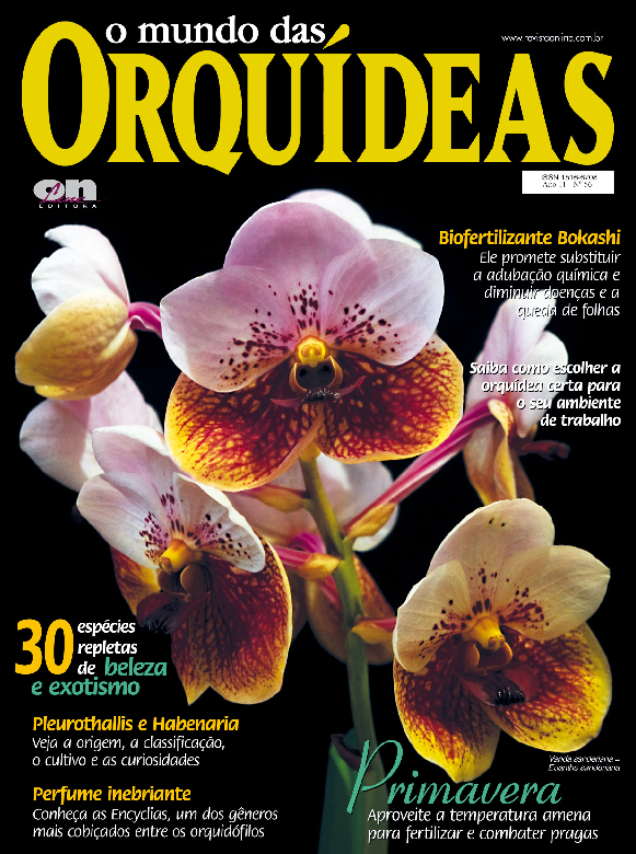 O Mundo das Orquídeas O Mundo das Orquídeas