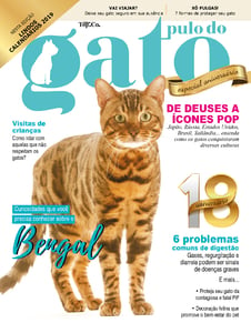 Pulo do Gato