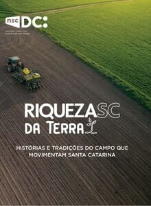 Diário Catarinense