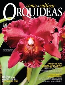 Como Cultivar Orquídeas