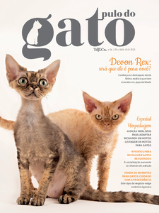 Pulo do Gato