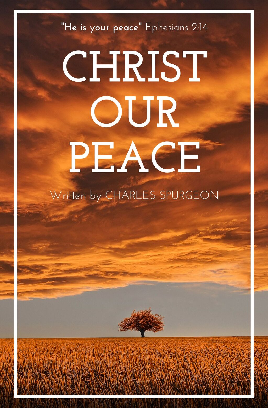 Christ our Peace