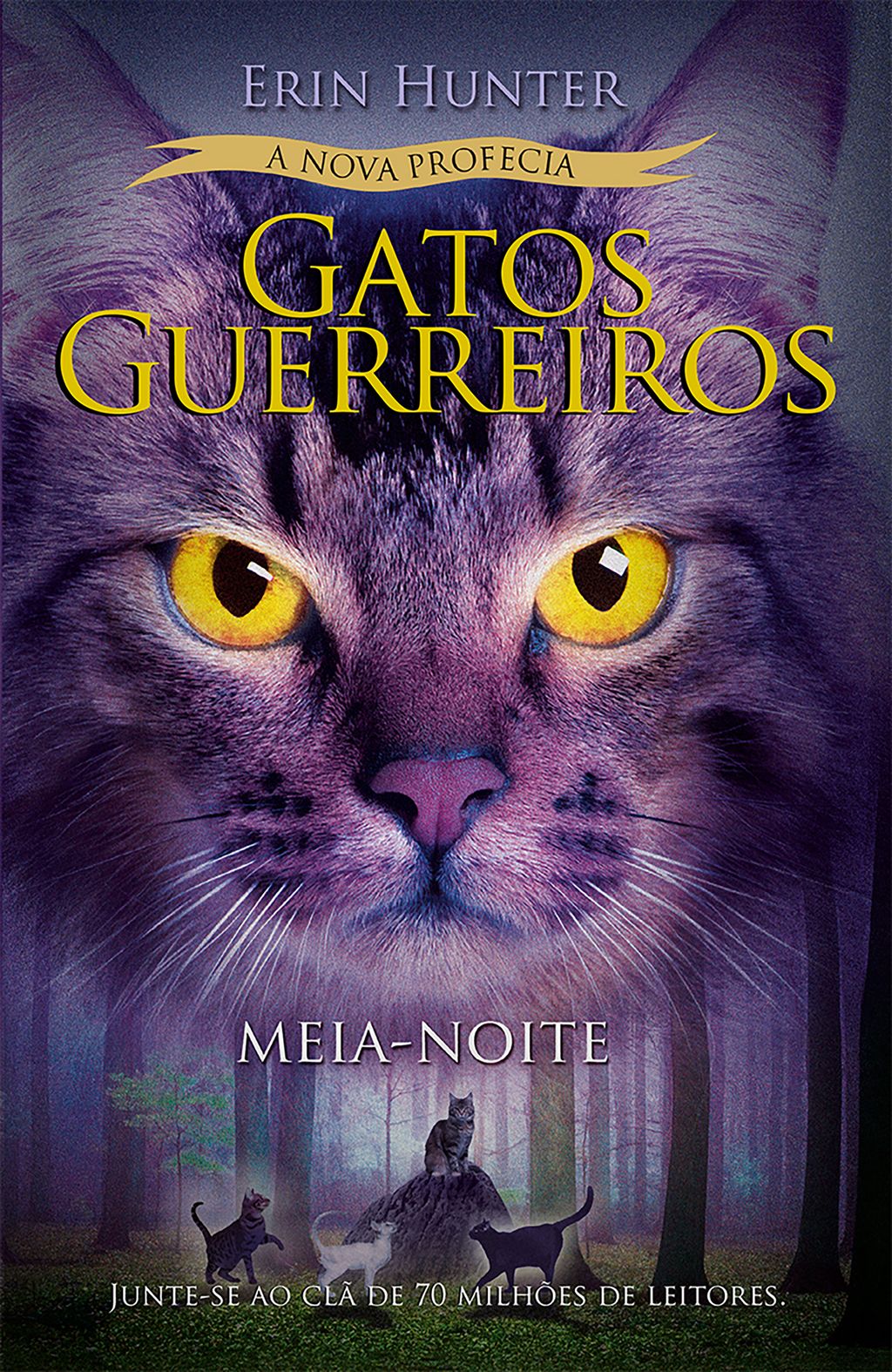 Gatos Guerreiros (A nova profecia) - Meia-noite