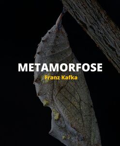 Metamorfose