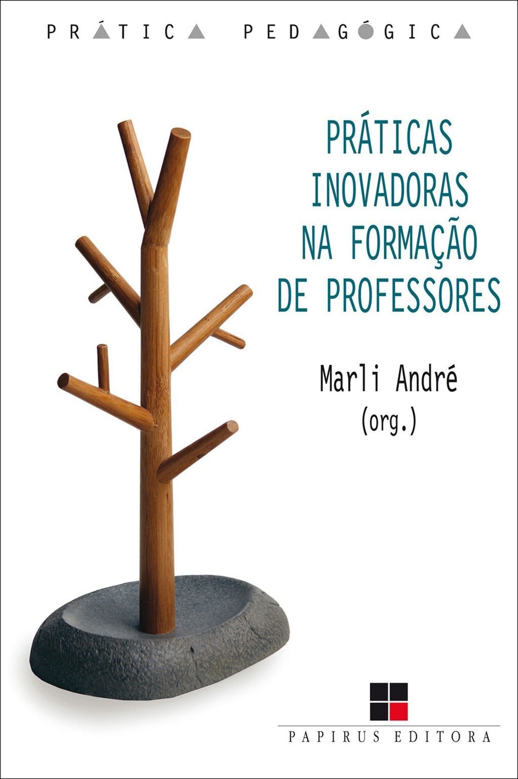 Práticas inovadoras na formação de professores