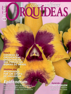 Como Cultivar Orquídeas