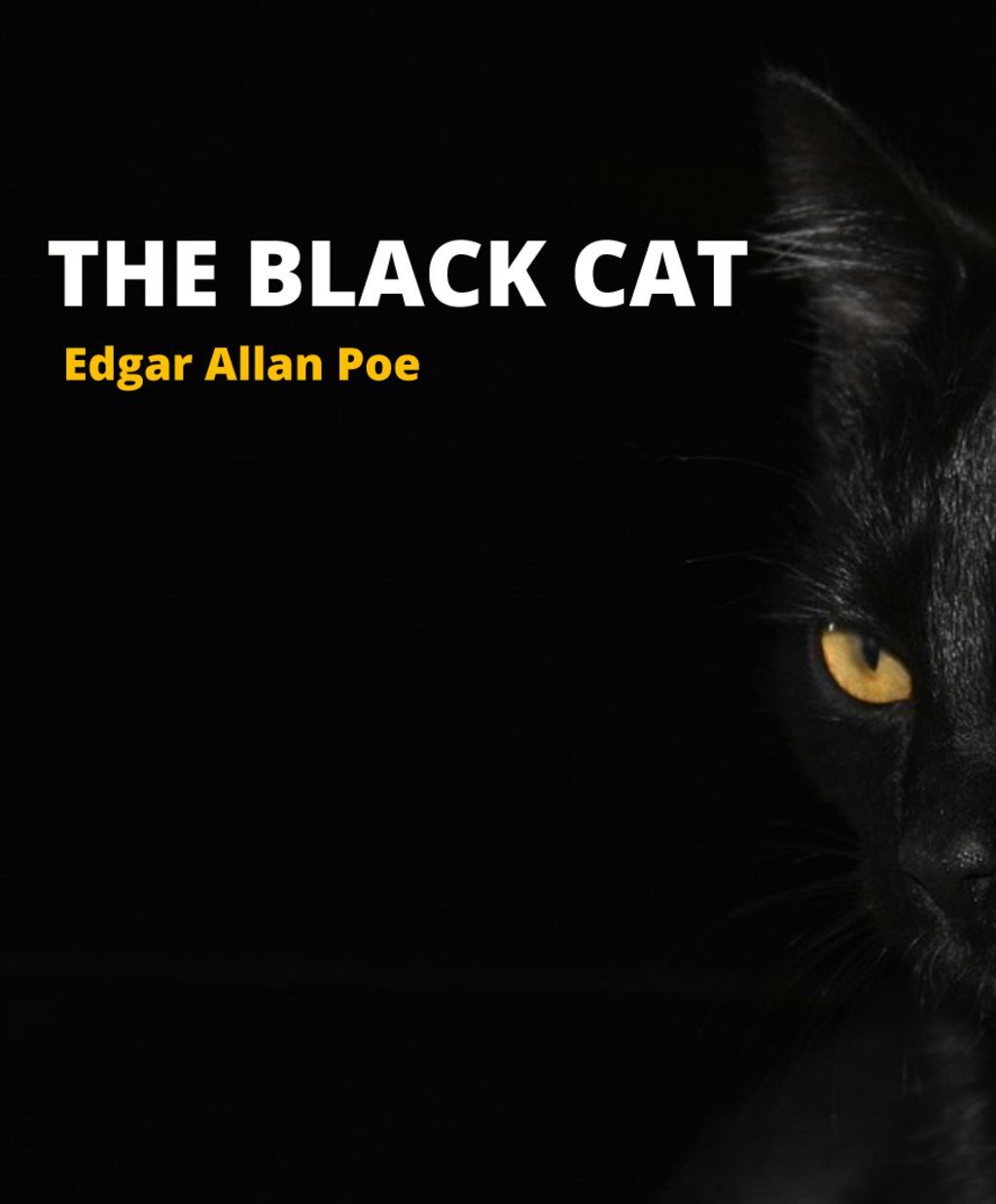 The Black Cat