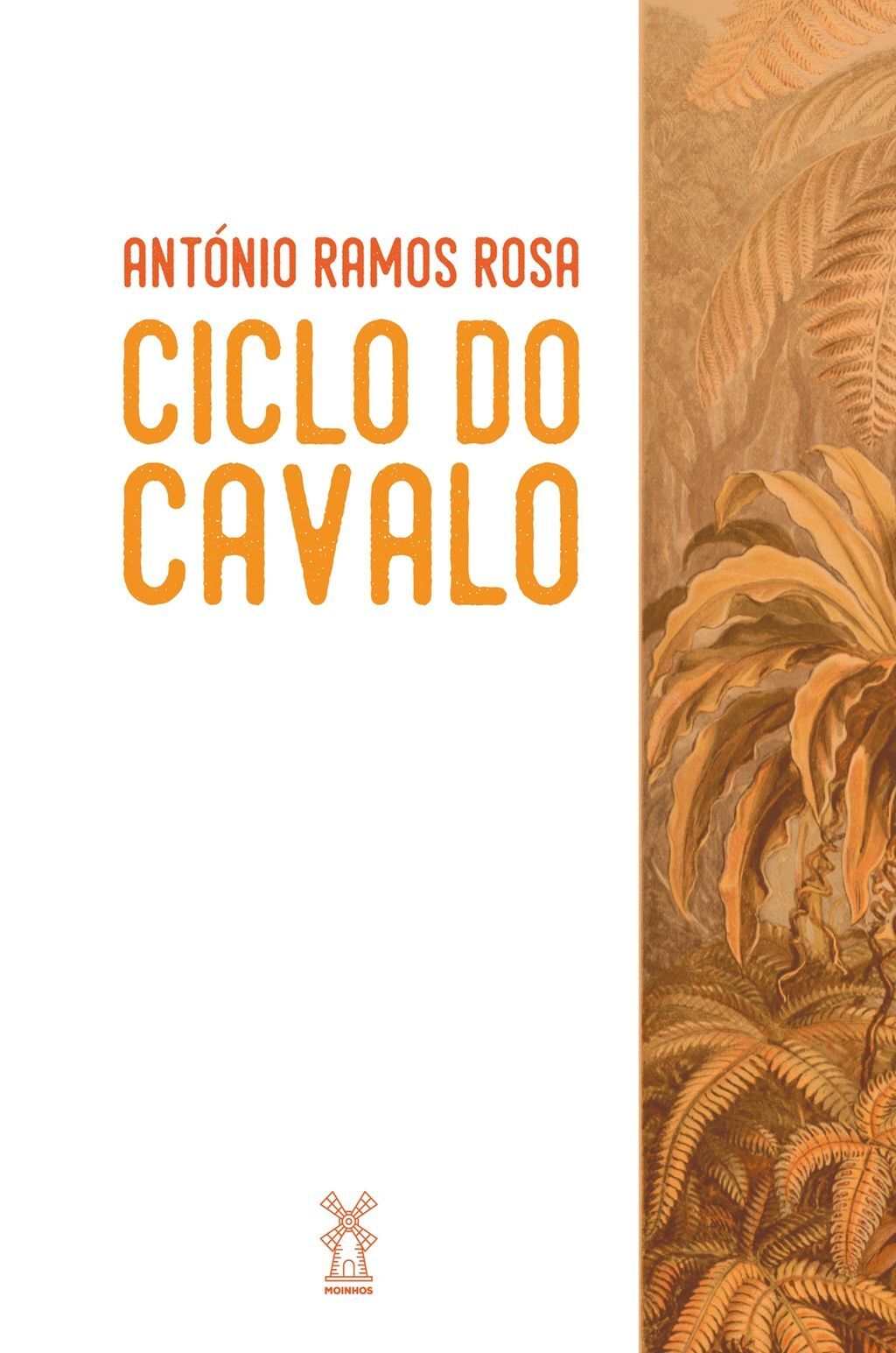 Ciclo do cavalo