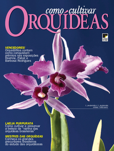 Como Cultivar Orquídeas