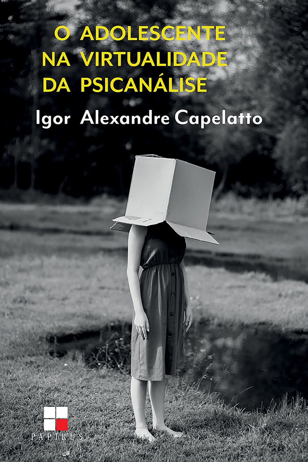 O adolescente na virtualidade da psicanálise