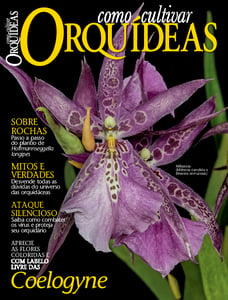 Como Cultivar Orquídeas