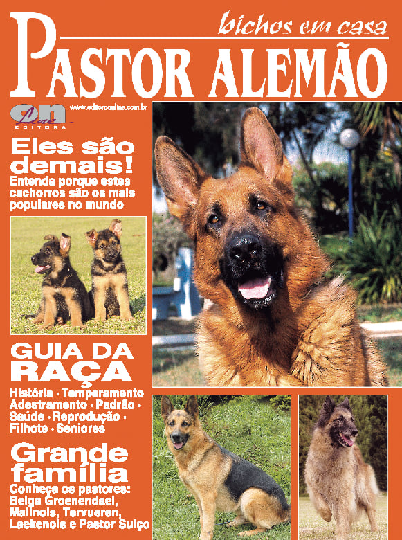 Bichos em casa