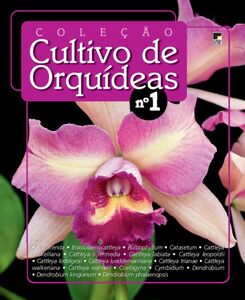 Orquídeas Especial