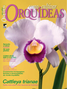 Como Cultivar Orquídeas