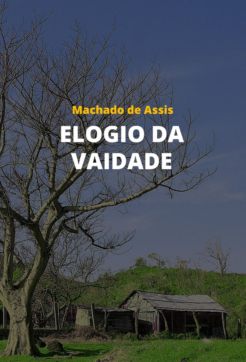 Elogio da vaidade