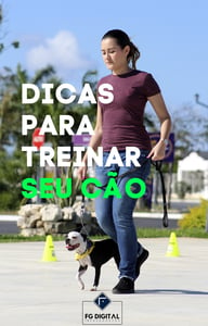 Dicas para treinar seu cão