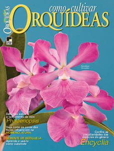 Como Cultivar Orquídeas