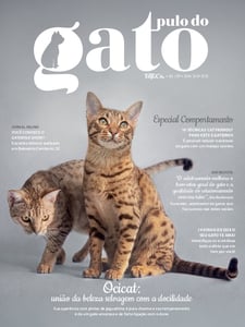 Pulo do Gato