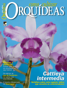 Como Cultivar Orquídeas