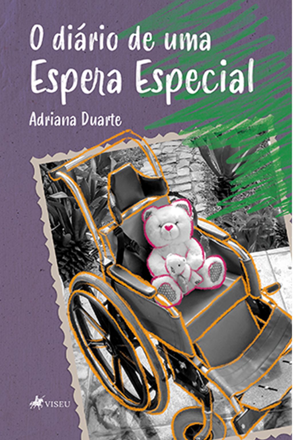 O diário de uma espera especial