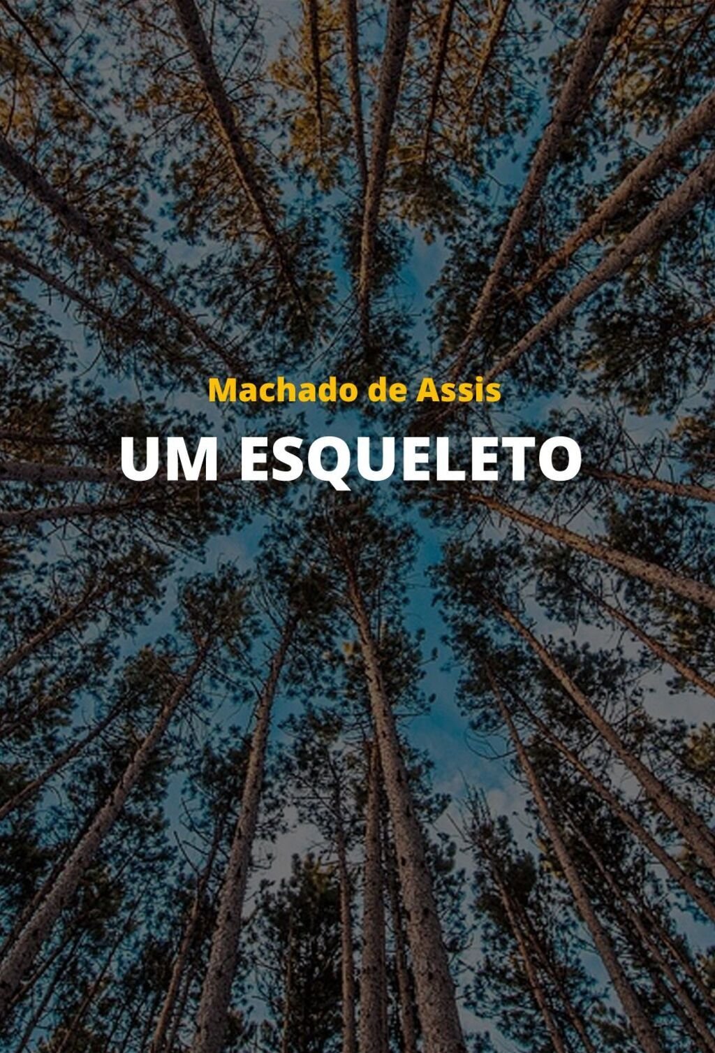 Um esqueleto