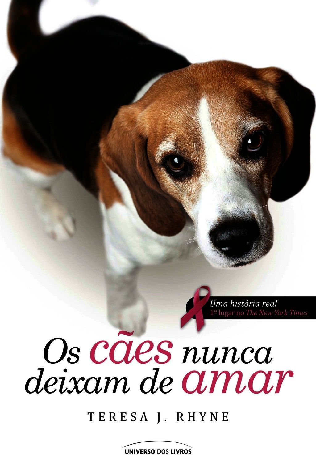 Os Cães Nunca Deixam De Amar