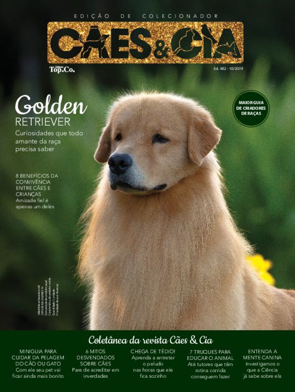Os benefícios do agility para cães - Revista Cães & Cia