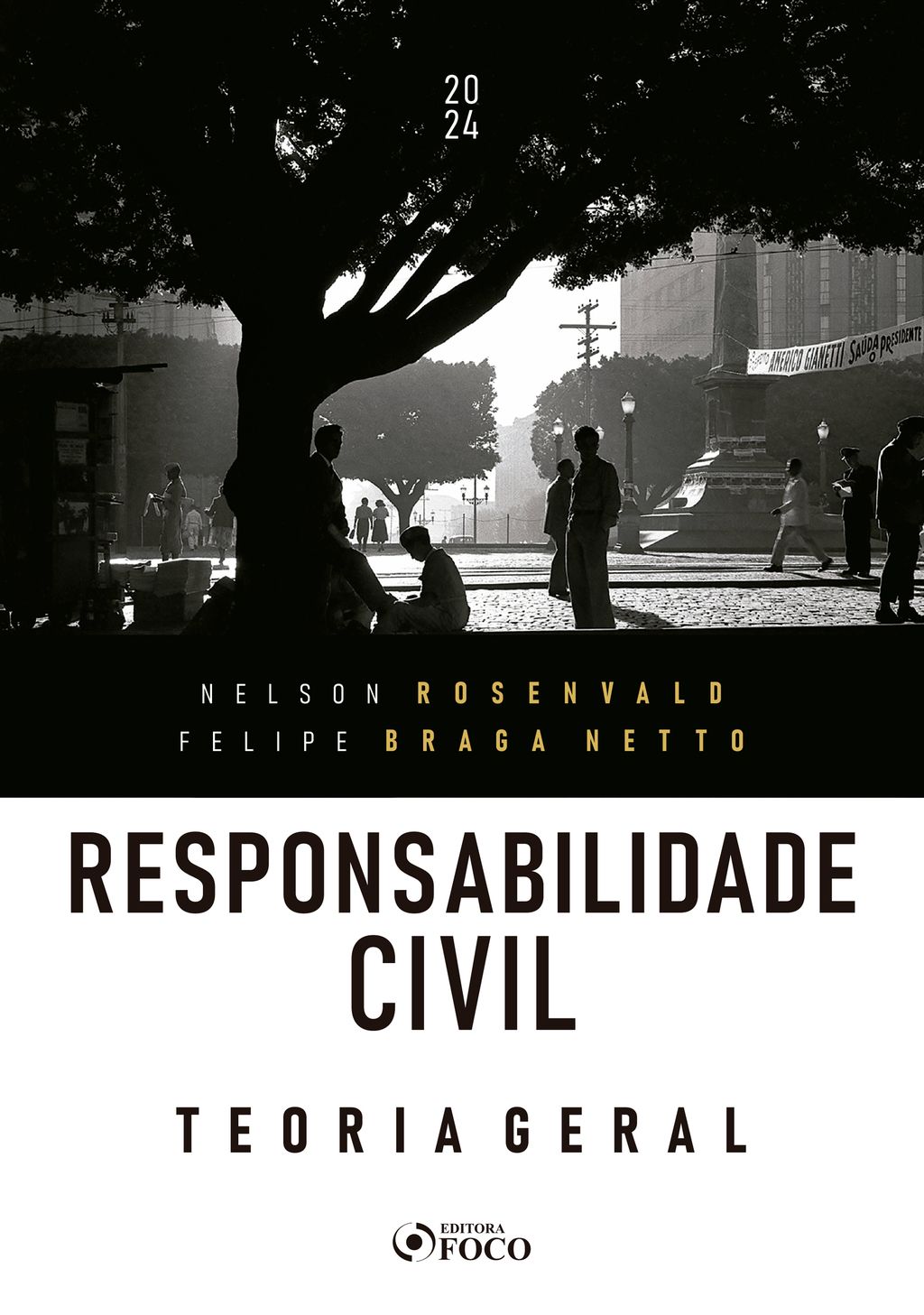 Responsabilidade Civil  Teoria Geral